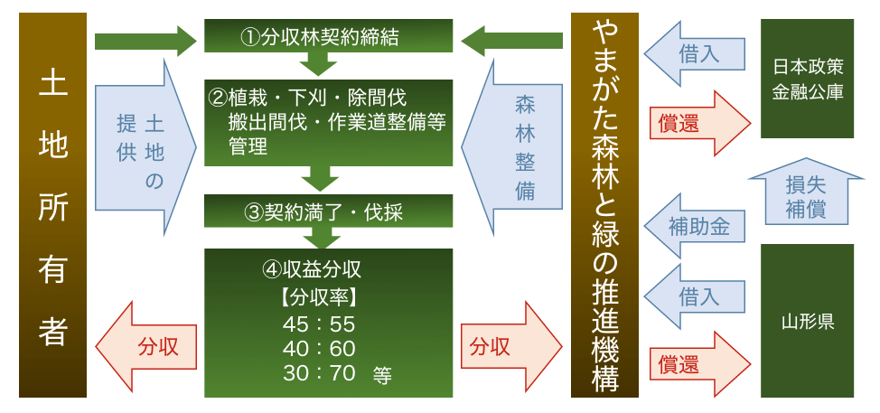 分収林の流れ1