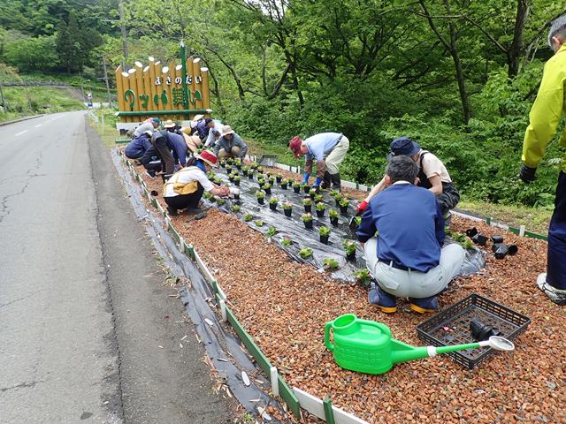 槙代自治会 花いっぱい運動
                            （槙代自治会）