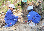 日鉱 里山・龍樹の森での植樹活動
                          (南陽市)