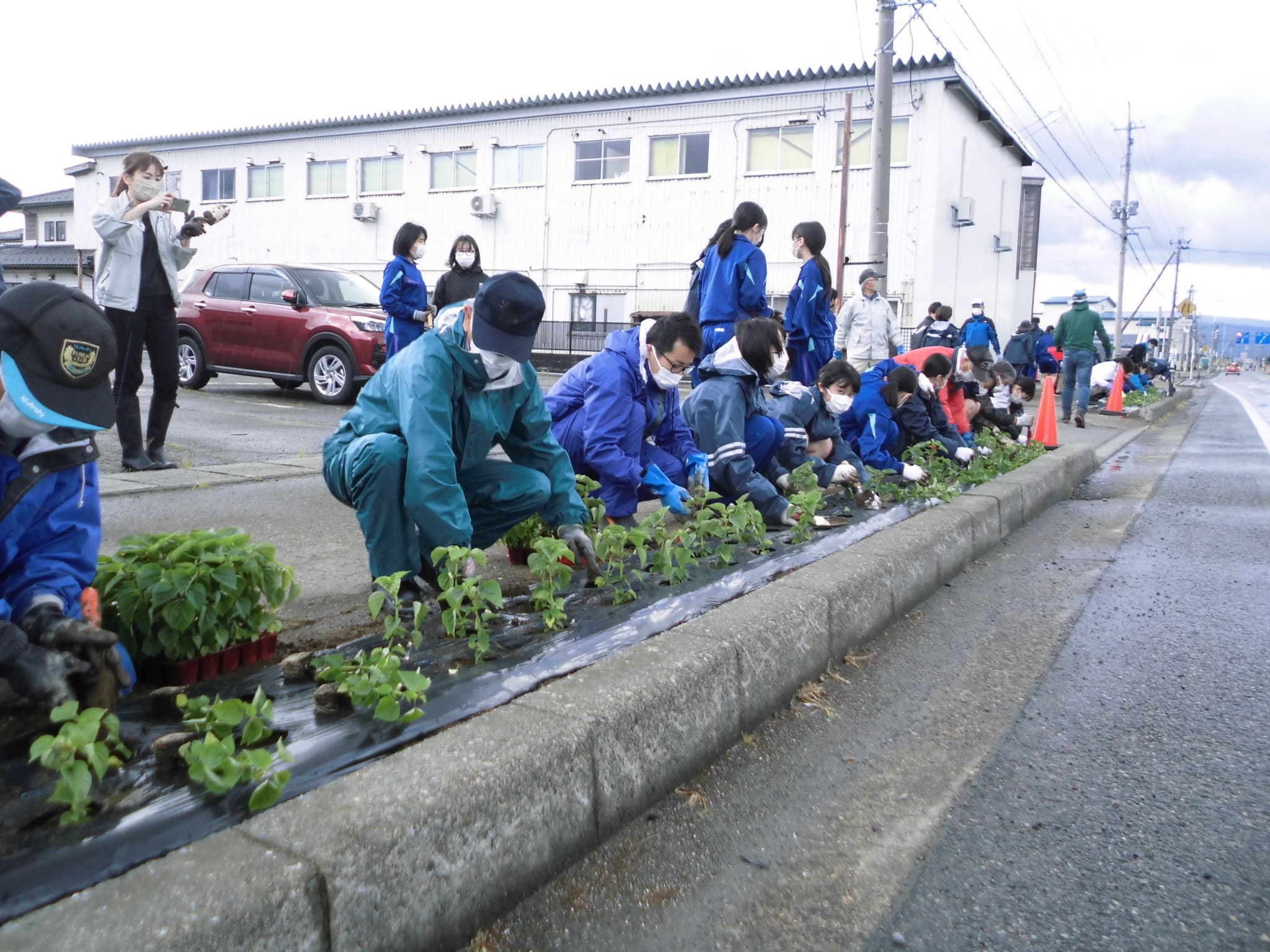 国道１１２号線サルビア植栽事業
                            （櫛引花と緑の会）