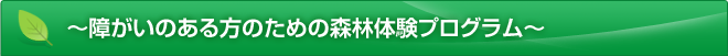 障害のある方のための森林体験プログラム