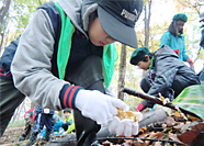 大江町緑の少年団
                        （大山公園での自然観察会）