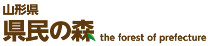 県民の森 the forest of prefecture