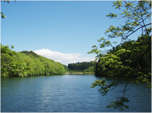 県民の森