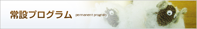 常設プログラム permanent program